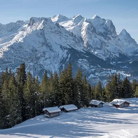 Bergzauber, Rosenlaui